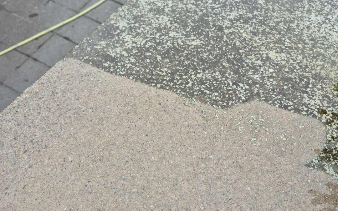 Neosys: more than just a drone – a complete, manual, powerful cleaning system