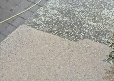 Neosys: meer dan alleen een drone – een compleet, handmatig, krachtig reinigingssysteem