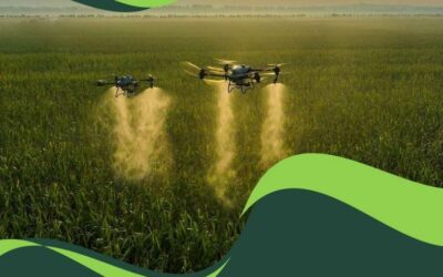 Collaboration stratégique entre Neosys et la Louvain School of Management (UCLouvain)