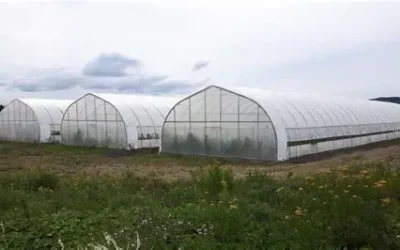 Greenhouse bleaching by drone: Neosys and the CIM help Belgian agriculture
