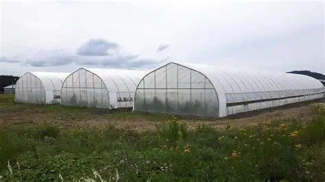 Démoussage toiture Démoussage toiture