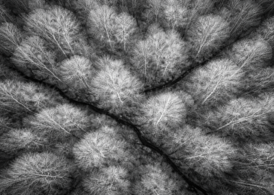 Une mission un peu particulière pour Neosys : quand le drone aide aussi à retrouver une chienne disparue